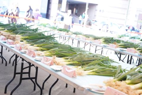 健康飲食新選擇 新北首辦巨蔥評鑑