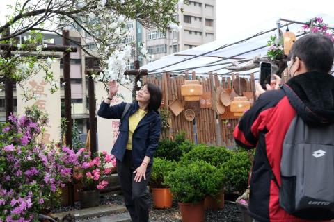 萬金杜鵑花展月底登場 賞花玩北海岸遊程買一送一優惠中