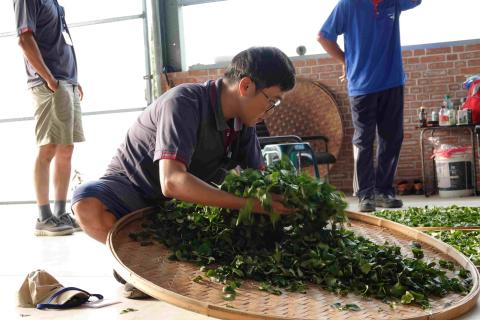 新北好茶登場茶博 周末茶香迎賓送好禮