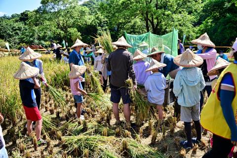汐止區農會食農體驗活動 體驗食農教育享農特產品優惠