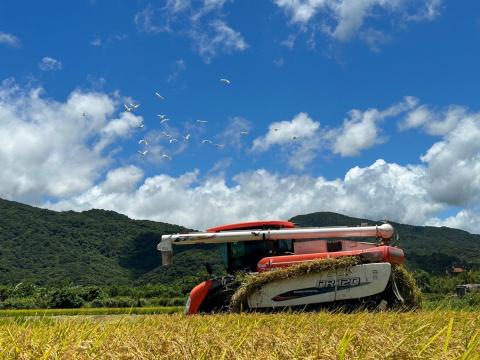 走進田寮洋的保育行動－「羽豐米豐收祭」開跑！