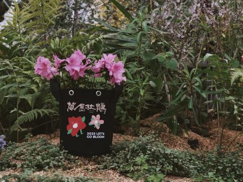 秋遊萬金 杜鵑小旅行限量優惠中